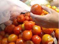 TP.HCM: Chị em xếp hàng trong siêu thị để được mua 2kg cà chua với giá rẻ bằng 1/3 bên ngoài